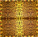 003 Afrikas - 3-lagig